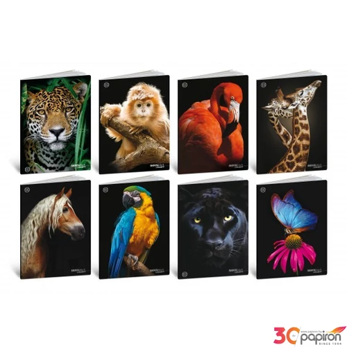 Füzet A4 vonalas Blasetti 100g 38lap ANIMAL BLACK100 8632/1R  [8007758100466]