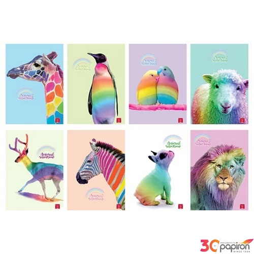 Füzet 38lapos A4 vonalas Pigna Animal Rainbow vegyes mintával