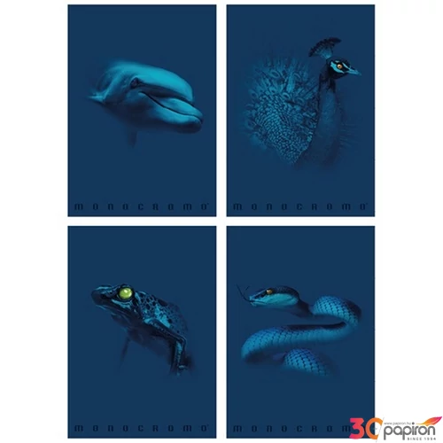 Füzet A4 vonalas Pigna Monocromo Blue 38 lapos vegyes minták