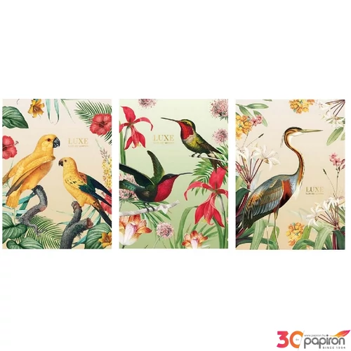 Füzet A4 vonalas Shkolyaryk 81-32 40lap Luxe Nature vegyes 81-32