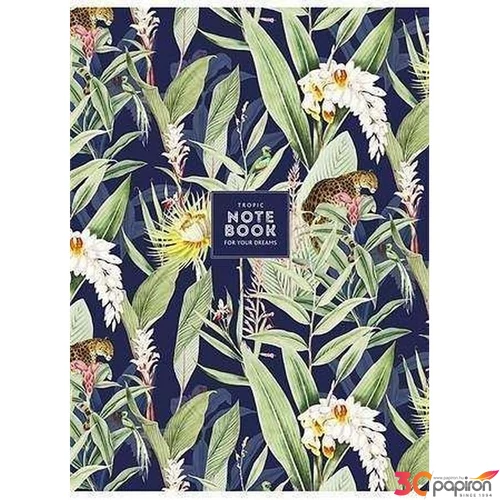 Füzet A4 vonalas Shkolyaryk 81-32 80lap Tropic notebook vegyes minta Irodai füzetek Shkolyaryk A4-080-543L