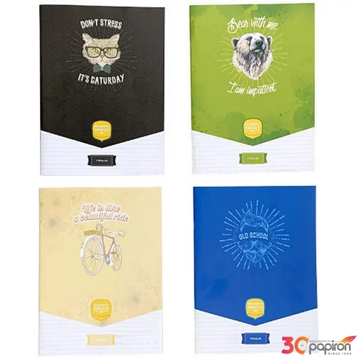 Füzet tűzött 81-32 A4 Student Art - vonalas vegyes színekben iskolai, irodai design füzetek 70grm