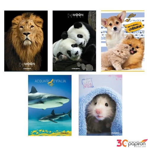 Füzet A5 Blasetti kockás 80g 42 lapos Animal 7299/B