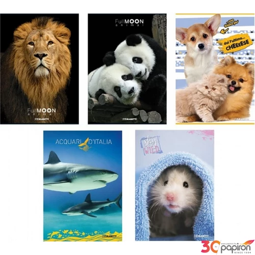 Füzet A5 Blasetti vonalas Animal 80gr 42lapos vonalas 2020 7298/B 0C 1RC