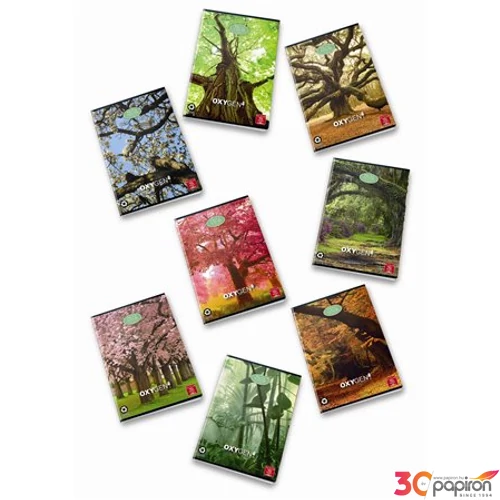 Füzet 27-32 A5 Pigna Oxygen Ec 42lap kockás tűzőtt Pigna
