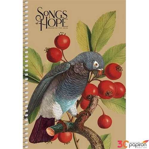 Füzet A5 sima SHKOLYARYK 96 lap, Songs of Hope", vegyes SB966123