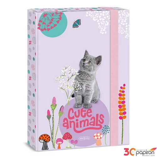 Füzetbox A4 Ars Una 24' Cute Animals-kitten(5368) cica 50853687