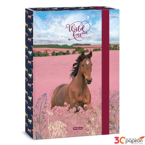 Füzetbox A4 Ars Una 24' Wild and Free (5359) Ló 50853595