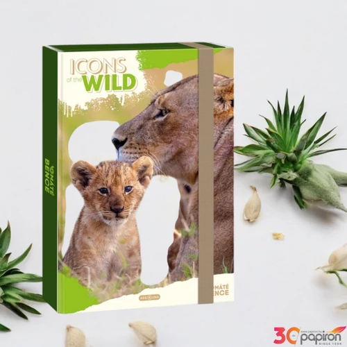 Füzetbox A4 Ars Una 25 Icons Of The Wild-Lions (5504) 25 oroszl 50855049