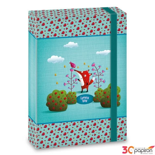 Füzetbox A4 Ars Una Lovely Day (5130) 22 50851300 prémium