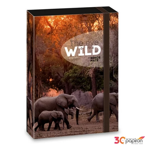 Füzetbox A4 Ars Una The Eyes Of The Wild - Elephant (5217) 2 50852178 prémium