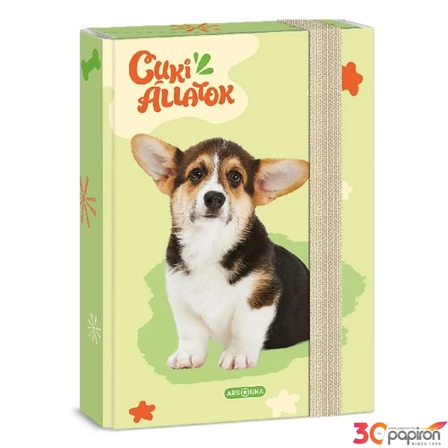 Füzetbox A5 Ars Una 24' Cuki-Welsh Corgi (5432) 50864324