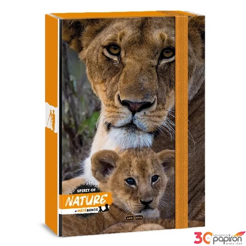 Füzetbox A5 Ars Una 24' Máté Bence-Lion (5433) 50864331