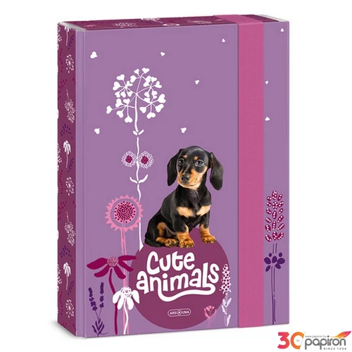 Füzetbox A5 Ars Una Cute Animals puppy(5369) 24 TACSKÓ 50863693 prémium