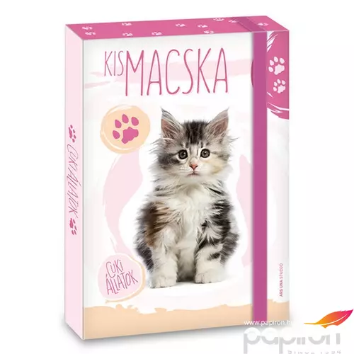 Füzetbox A5 Ars Una Cuki-Macska (5106) 21 50861064 prémium