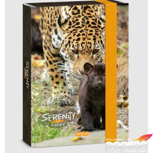 Füzetbox A5 Ars Una Serenity-jaguar (5334) 23 50863341 prémium