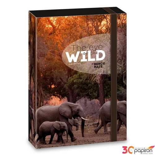Füzetbox A5 Ars Una The Eyes Of The Wild - Elephant (5217) 2 50862177 prémium