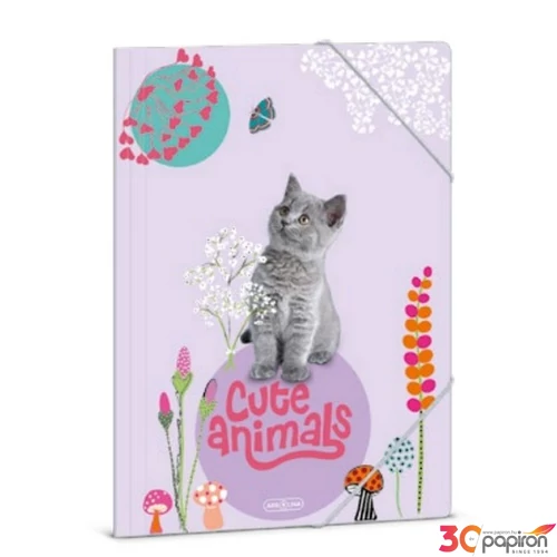Gumis mappa A4 Ars una 24' Cute Animals-kitten (5368) cica 50213689