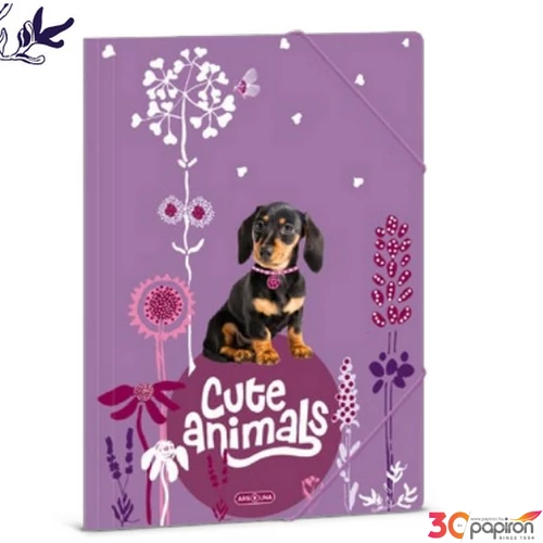 Gumis mappa A4 Ars una 24' Cute Animals-puppy (5369) TACSKÓ 50213696