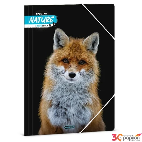 Gumis mappa A4 Ars Una 24' Máté Bence-Fox (5388) Prémium minőség