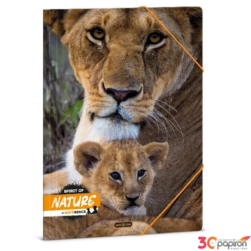 Gumis mappa A4 Ars Una 24' Máté Bence-Lion (5433) 50214334