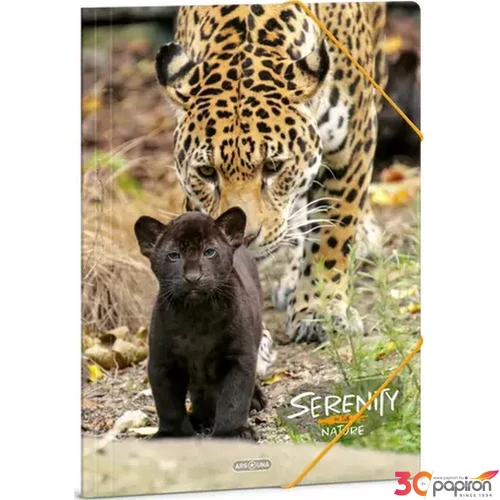 Gumis mappa A4 Ars Una 24' Serenity-jaguar (5334) 50213344