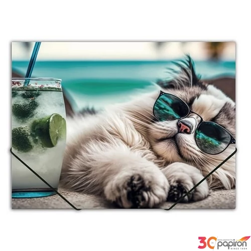 Gumis mappa A4 Panta Plast 15mm, PP, Chillout cat INP0410006454