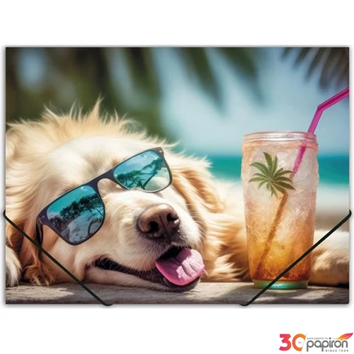 Gumis mappa A4 Panta Plast 15mm, PP, Chillout dog INP0410006453