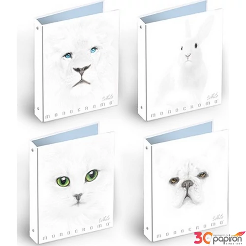 Gumis mappa A/4 Pigna Monocromo White