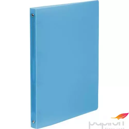 Gyűrűskönyv A4 4gy. 25mm, PP, Viquel Propyglass, kék