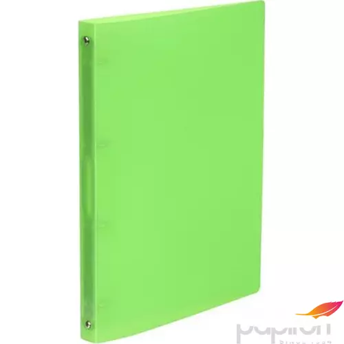 Gyűrűskönyv A4 4gy. 25mm, PP, Viquel Propyglass, zöld