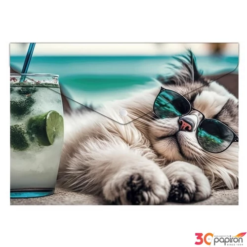 Irattartó tasak A4 Panta Plast PP, patentos 180 mikron Chillout cat INP0410006254