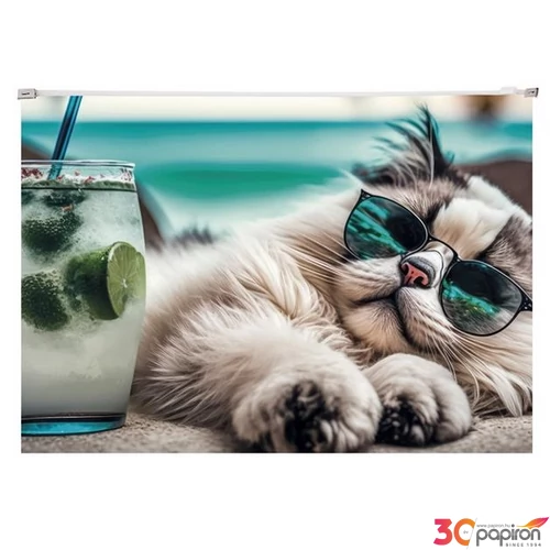 Irattartó tasak A4 Panta Plast PP, cipzáras 180 mikron Chillout cat INP0410006354