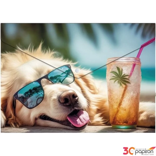 Irattasak A5 Panta Plast PP, patentos, 180 mikron,Chillout dog INP0410006953