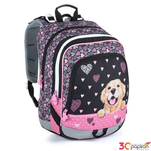 Iskolatáska Bagmaster ALFA21A 25