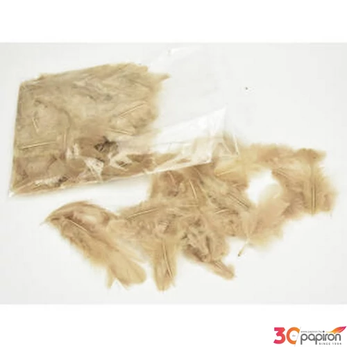 Karácsonyi dekoráció Madártoll cappuccino 7-8cm 10g Karácsonyi dekoráció