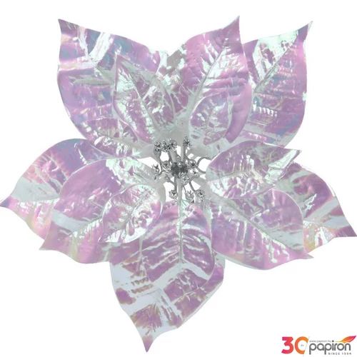 Mikulásvirág karácsonyi 24' csiptetős, fényes 25cmx25cmx8cm sdkae
