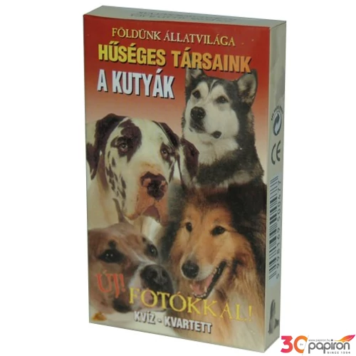 Kártya A kutyák hűséges társaink új fotókkal