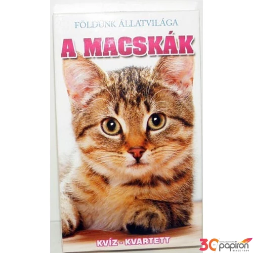 Kártya A macskák