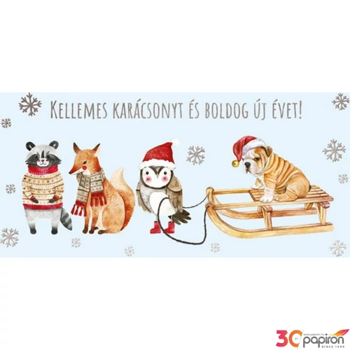 Képeslap borítékos LA4 borítékos zsebes zsebes képeslap pénznek