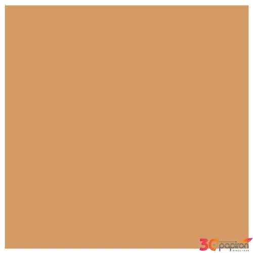Kreatív papír 50x70 Canson Colorline 220g 32 bézs 