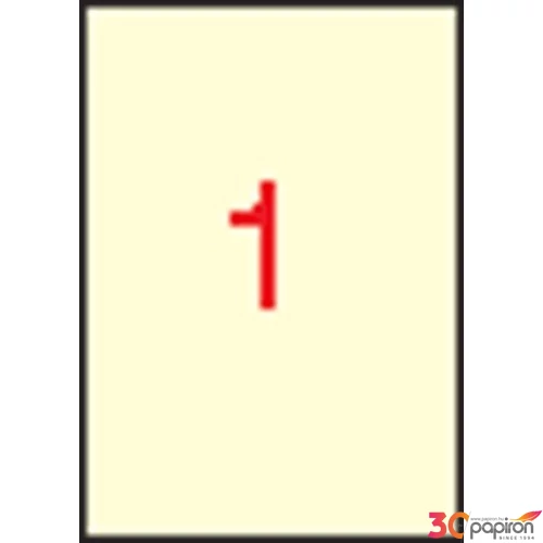 Etikett Apli 210x297mm (20dbcsomag) LCA11802