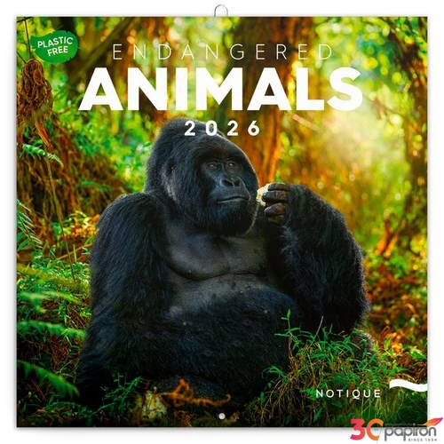 Falinaptár 2026 Endangered Animals 6097-EA lemeznaptár 30×30cm Realsystem 2026 kollekció!
