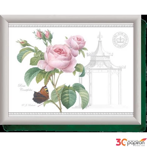 Öltálca 438x338mm  Royal Botanic Garden:Redouté Classic