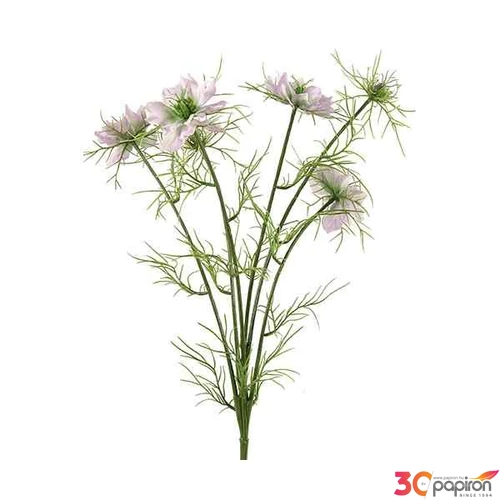 Selyemvirág művirág pillangó Cosmos bipinnatus Jalisha purple 66cm kerti pillangó virág Holland SDDST5