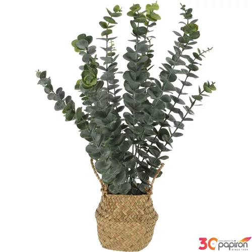 Selyemvirág - művirág '23 eucalyptus kosárban kpm