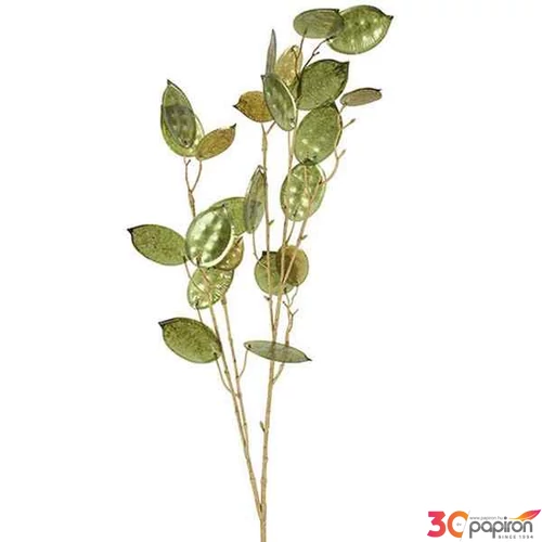 Selyemvirág művirág pénzvirág Lunari annua L green 96cm Holland holdvirág SDDST53