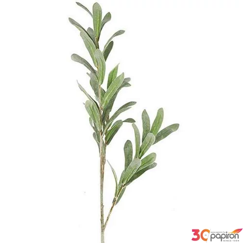 Selyemvirág művirág fagyöngy Viscum album green 70cm Holland SDDST53