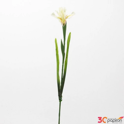 Selyemvirág - művirág szálas I Művirág pick dekor 1virág/szál lilás-fehéres színű szoba dekor