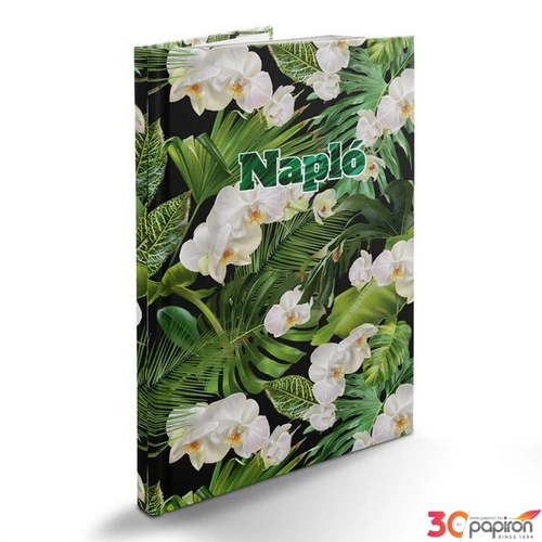 NapLó B/5 5601-60 pictureturenapló tropictureal Realsystem 2026 kollekció!